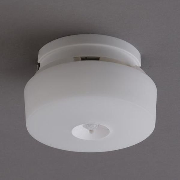 ●明るさ…約600lm●サイズ…φ125×52mm●電源…AC100V（50/60Hz）●消費電力…5.4W●光色…電球色（3,000K）●光源寿命…40,000時間●入力電流…0.1A●演色性…Ra80●使用場所…室内用●重量…170g●材質…鋼板、ポリプロピレン、ポリカーボネート●人を感知して自動でON/OFFするセンサー付で、コンパクトでもしっかり明るいLED小型シーリングライトです。●離れると約90秒後に消灯。消し忘れの心配なし！●新技術のメタルサーキットを採用し、少ない消費電力でも天井まで光が広がり明るく照らします。●コンパクトで天井がスッキリ、場所を取らないので洗面所や玄関などに最適です。●電気工事不要で取り付けが簡単です。●長寿命約40,000時間で、ランプ交換の手間が少ないLED小型シーリングライトです。●天井まで光が広がる、コンパクトで明るいシーリングライトです。●取り付けにくかったローゼットも、ガイド付きですぐに取り付けられます。EA761XS-46楽天 HD店　