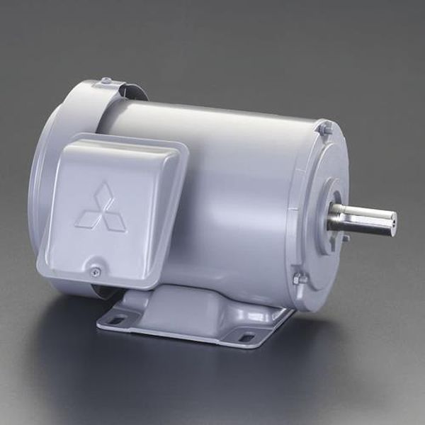 【メーカー在庫あり】 エスコ ESCO AC200V・0.4 kw 三相モーター (全閉外扇・屋内形) EA968BA-4A HD店