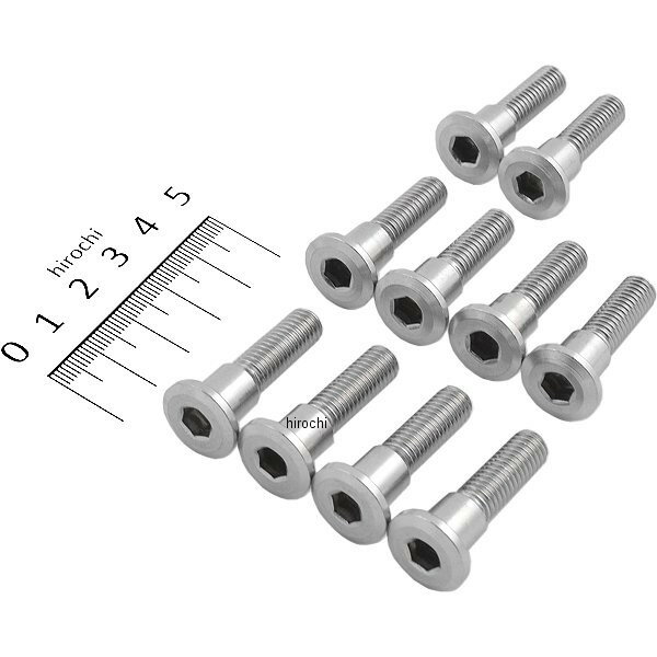 【メーカー在庫あり】 ステンレスローターボルト(スズキ type3/10個入り) 0900-500-07206 HD店
