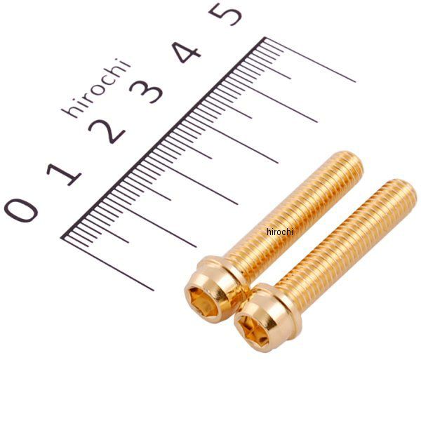 【メーカー在庫あり】 キタコ K・CON Pro ビビットボルト M6/P1.0 全ネジ 6×30 (2個入り) 0901-060-00006 HD店