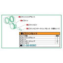 SP武川 スーパーヘッド+R用 シリンダーキット ピストンセット 01-02-8060 HD店