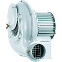 【メーカー在庫あり】 SB202 SDG(株) 昭和 電動送風機 汎用シリーズ(0.04kW) SB-202 HD店