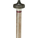 【メーカー在庫あり】 (株)ナカニシ ナカニシ 電着CBNバー φ13×8×軸φ6 #120 13395 HD店(4)