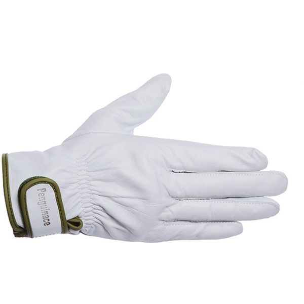 【メーカー在庫あり】 TH554 牛本革手袋(袖口マジックタイプ) 国産クレストレインジャー・アテナシ フリーサイズ TH-554 HD店