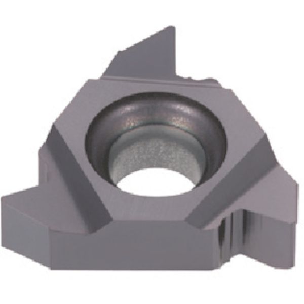 ڥ᡼߸ˤ ()󥬥 󥬥 ѤͤڤTACå COAT 5 16ELG60 HD