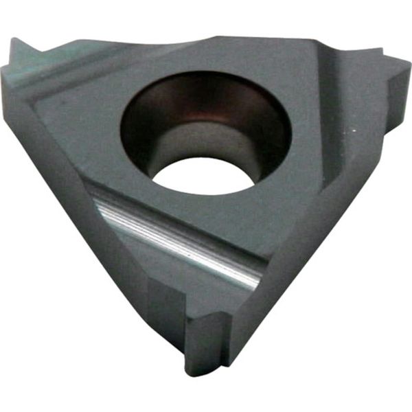 【メーカー在庫あり】 イスカルジャパン(株) イスカル D ISOメートルねじ切チップ COAT 5個入り 16ER2.50ISO HD店