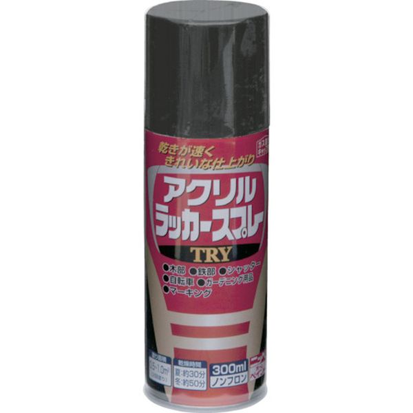 4976124253638 アクリルラッカースプレーTRY 300ml つやなしブラック 222T004-300 222T004-300 HD店