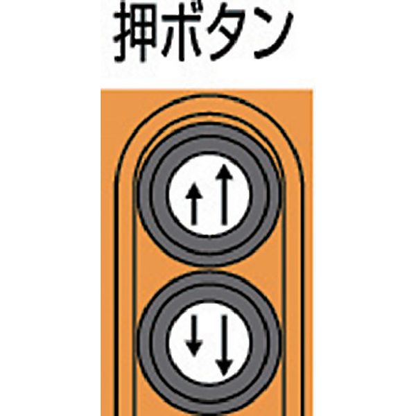 【メーカー在庫あり】 象印チェンブロック(株) 象印 単相100V小型電気チェーンブロック（2速型）60KG ASB-K0630 HD 2