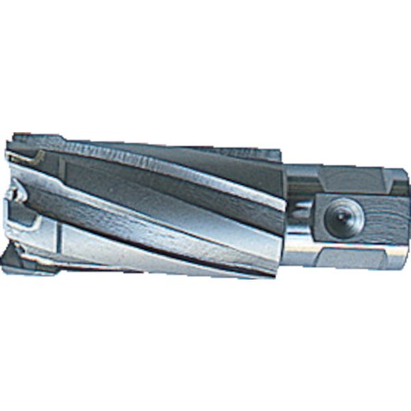 【メーカー在庫あり】 大見工業(株) 大見 35SQクリンキーカッター 刃径32.0mm CCSQ320 HD店