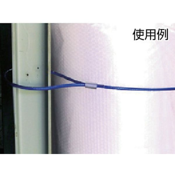 【メーカー在庫あり】 CWP4S20 トラスコ中山(株) TRUSCO メッキ付ワイヤーロープ PVC被覆タイプ Φ4(6)mmX20m CWP-4S20 HD店