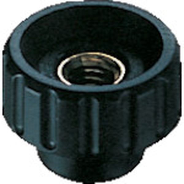 ڥ᡼߸ˤ ()ޥݥ졼 ELESA ե롼ȥΥ(å׷)20 M6 FTK20T HDŹ