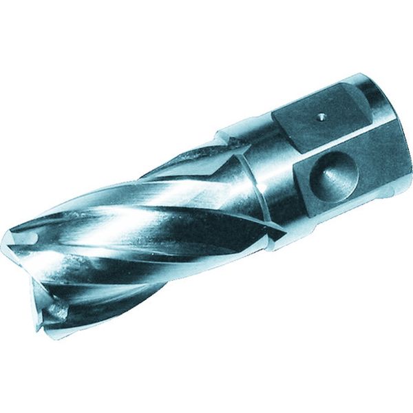 【メーカー在庫あり】 大見工業(株) 大見 25SQハイスカッター 刃径15.0mm HCSQ150 HD店