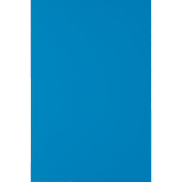 �ڥ᡼�����߸ˤ���� MSA2B �ȥ饹���滳(��) TRUSCO �ޥ��ͥåȥ����ȱ�ͭ200X300 �� MS-A2-B HDŹ