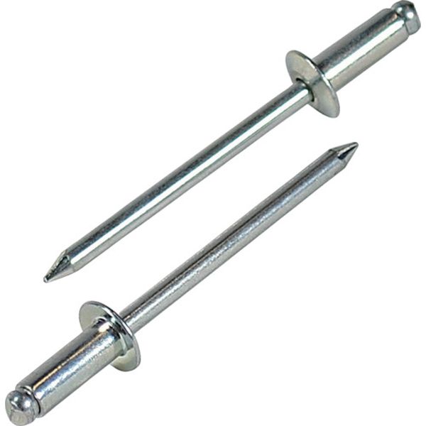 【メーカー在庫あり】 NS64EB (株)ロブテックス エビ ブラインドリベット(スティール/スティール製) 6-..