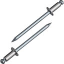 【メーカー在庫あり】 NSS48EB ブラインドリベット(ステンレス/スティール製) 4-8(300本入) エコBOX NSS 4-8EB HD店