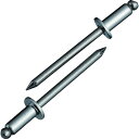 【メーカー在庫あり】 NST65 (株)ロブテックス エビ ブラインドリベット(ステンレス/ステンレス製) 6-5(1000本入) 箱入 NST6-5 HD店