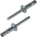【メーカー在庫あり】 (株)ロブテックス エビ Sボルト(100本入) SNS64159EB SNS64159EB HD(4)