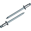 【メーカー在庫あり】 (株)ロブテックス エビ ブラインドリベット(ステンレス/スティール製) 4-5(30本入) エコパック NSS45MP HD店(4)
