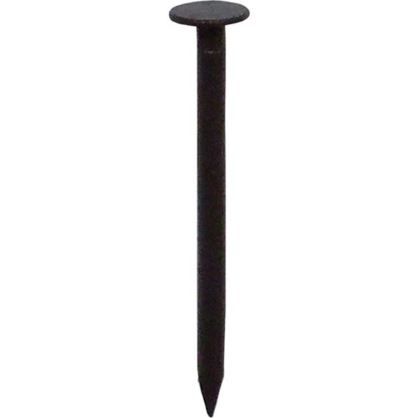 【メーカー在庫あり】 (株)ダイドーハント ダイドーハント HP トタン釘 新茶 2.1×32 30本入 10183157 HD店