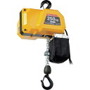 【メーカー在庫あり】 DCH250 オーエッチ工業(株) OH 電動チェーンホイスト 250Kg 揚程6m DCH-250 HD店