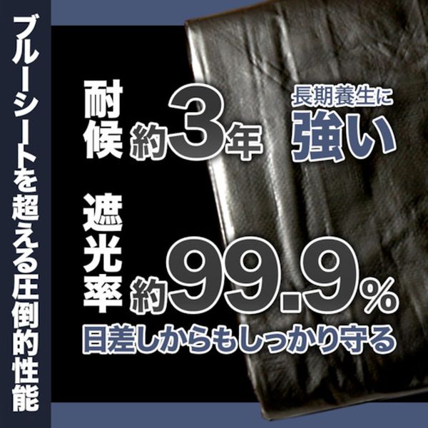 【メーカー在庫あり】 萩原工業(株) 萩原 ターピー UVメタリックシルバーシート(3...
