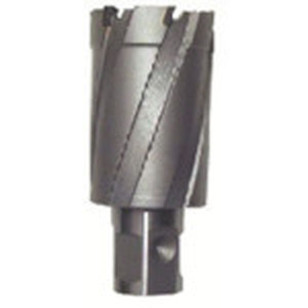 【メーカー在庫あり】 育良精機(株) 育良 ライトボーラー用替刃(超硬刃)(51108) CRSQ360 HD店