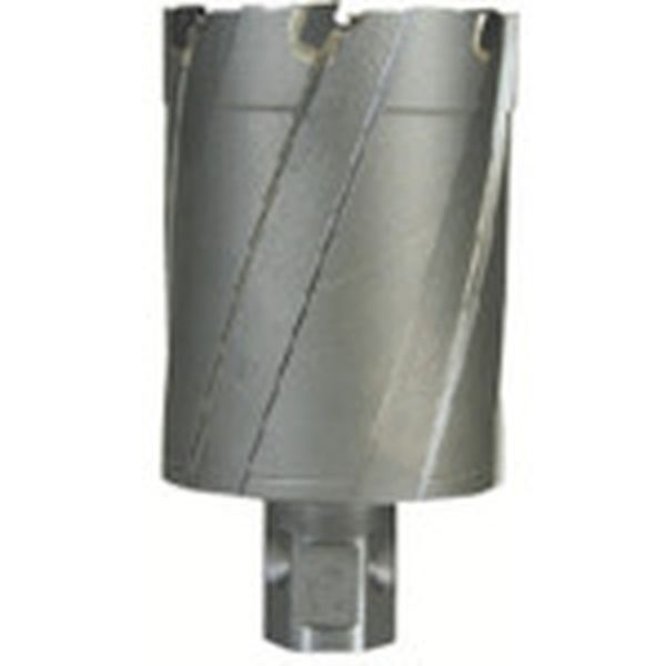 【メーカー在庫あり】 育良精機(株) 育良 ライトボーラー用替刃(超硬刃)(51114) CRSQ420 HD店