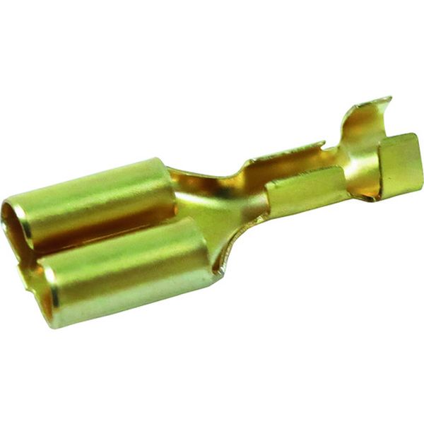 【メーカー在庫あり】 (株)ロブテックス エビ 電装タ-ミナル(100個入) F32F F32F HD店