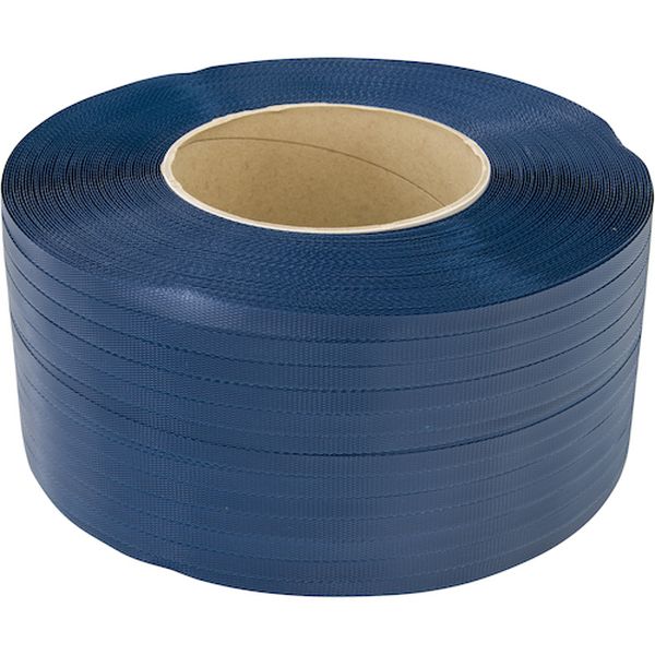 【メーカー在庫あり】 12RXECB 積水樹脂(株) 積水 梱包機用リサイクルPPバンド エコリターン RX-EC 12X3000m アオ 12RX-EC-B HD店