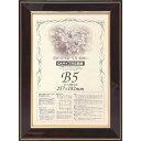 【メーカー在庫あり】 大額(株) 大額 額縁 賞状額 ネオ光輝 OA-B5 0142 501443 HD店