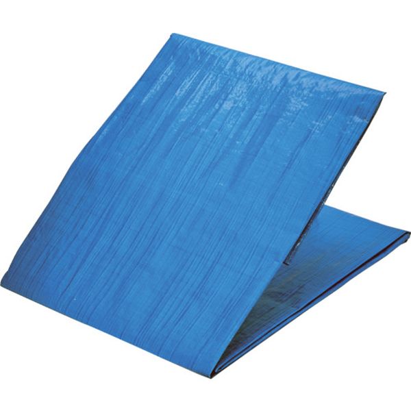 【メーカー在庫あり】 BSL201818 トラスコ中山(株) TRUSCO ブルーシートエコノミー ＃2000 1.8mX1.8m BSL20-1818 HD店