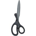 【メーカー在庫あり】 (株)レイメイ藤井 レイメイ ハサミ スウィングカット(フッ素コート) SH900 HD店(3)