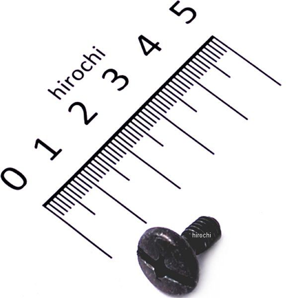 【メーカー在庫あり】 ヤマハ純正 スクリュー(1KH) 90149-06223 JP店