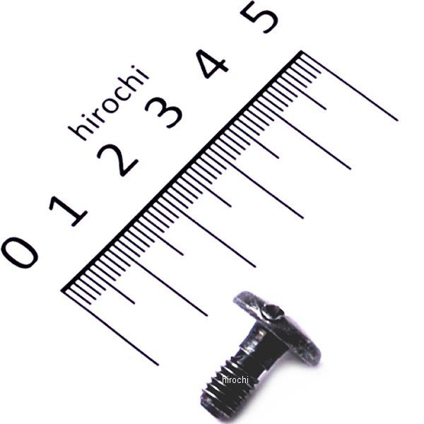 【メーカー在庫あり】 ヤマハ純正 スクリュー(1KH) 90149-06223 JP店