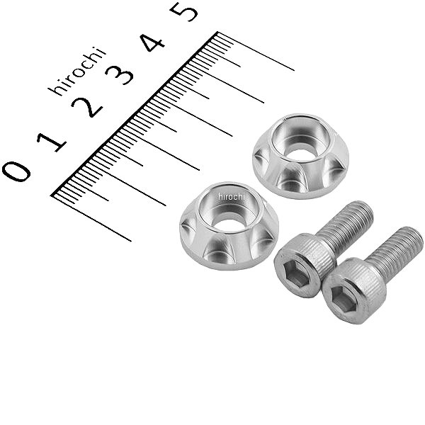 【メーカー在庫あり】 ポッシュ POSH ナンバープレートホルダーセット NASAタイプ 2個入り シルバー 500095-03 JP店(2)