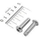 【メーカー在庫あり】 ポッシュ POSH ボタンキャップボルトセット 汎用 M8x30mm ステンレス 2本入り 900830-B2 JP店