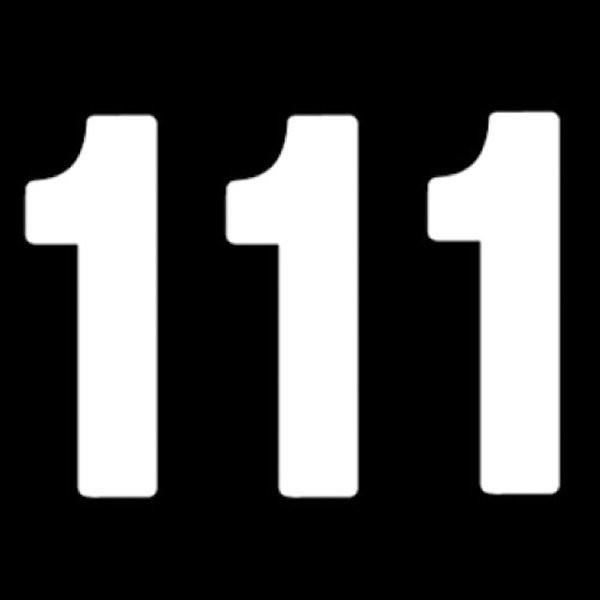 ��USA�߸ˤ���� �ե����ȥ꡼FX FACTORY EFFEX �ʥ�С� �ߥ� PRO 5�����(127mm) #1 �� (3������) FX03-0201 JPŹ