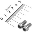 【メーカー在庫あり】 キタコ ビビットボルト(ステン) 6X12 (2個入り) 0900-060-00001 JP店