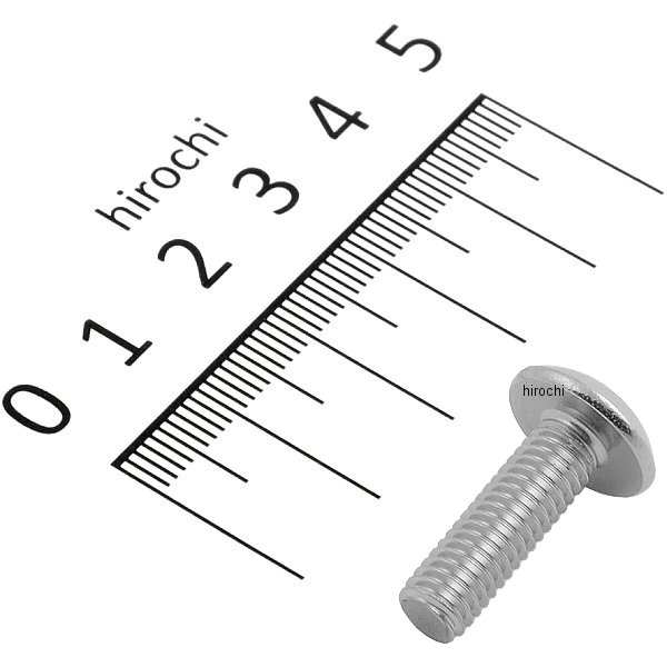 【メーカー在庫あり】 スズキ純正 スクリュー 6X20 09139-06028 JP店