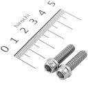 【メーカー在庫あり】 キタコ ビビットボルト(ステン) 6X20 (2個入り) 0900-060-00003 JP店