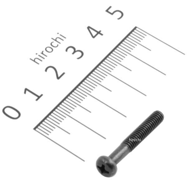 【メーカー在庫あり】 ヤマハ純正 スクリュー パンヘッド 98517-04025 JP店