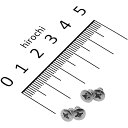 【メーカー在庫あり】 ポッシュ POSH キャップビス 汎用 ブリムタイプ 4個入り 090410-BS JP店