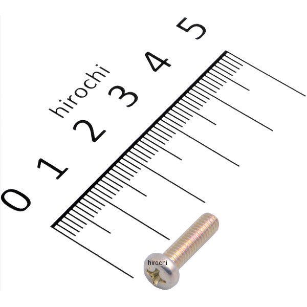 【メーカー在庫あり】 ホンダ純正 パンスクリュー 4X14 93500-040140A JP店