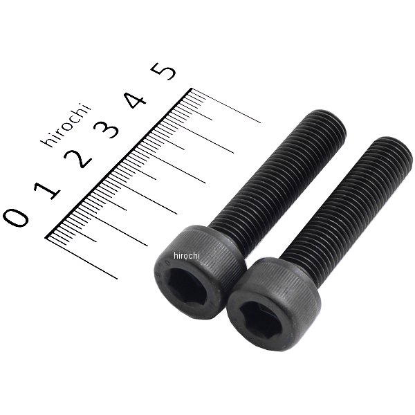 【メーカー在庫あり】 ポッシュ POSH ステンレスブラックキャップボルト M10X45 P1.25 黒 2個入り 911045-K2 JP店