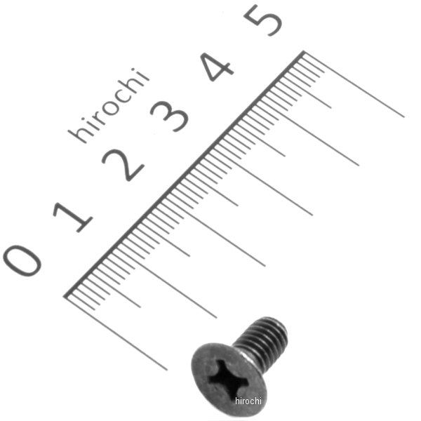 【メーカー在庫あり】 ホンダ純正 スクリュー フラット 6X12 93600-060120G JP店