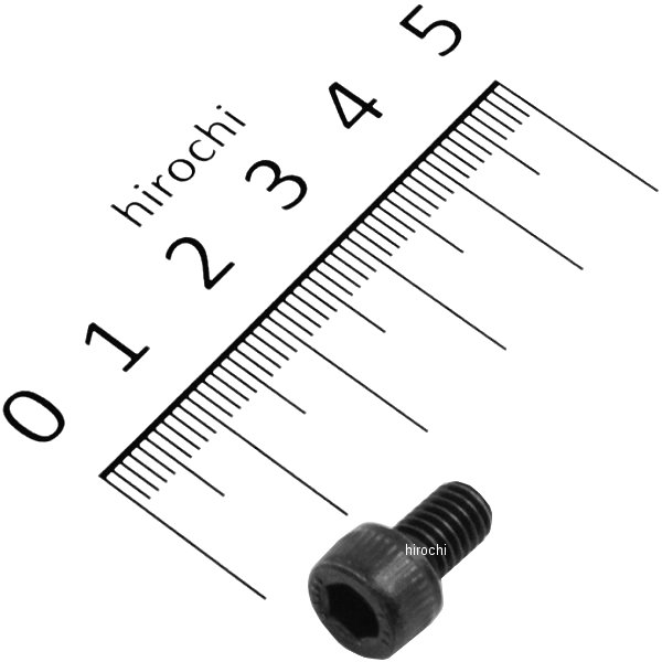 【メーカー在庫あり】 ヤマハ純正 ボルト ソケット 91317-06010 JP店