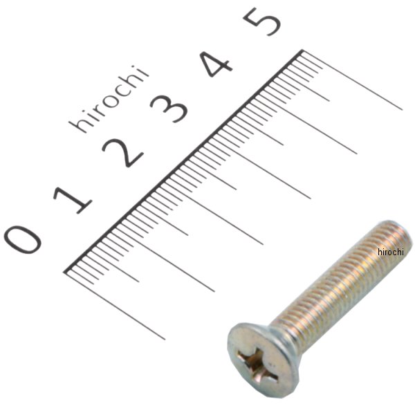 �ڥ᡼�����߸ˤ���� �ۥ������ ������塼 �����Х� 6X30 93700-060300A JPŹ