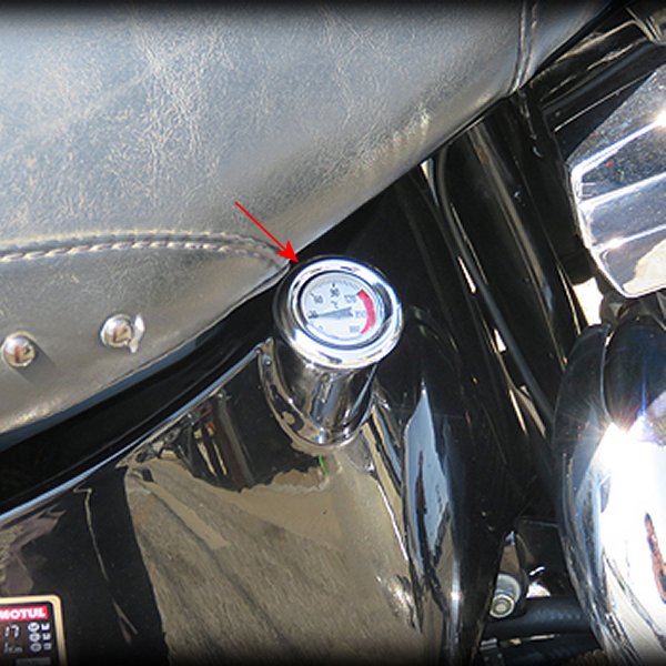 �ڥ᡼�����߸ˤ���� �ͥ��ե����ȥ꡼ �ݻ᥿���� �������� �����륿�󥯥���å� 84ǯ-99ǯ ���եƥ��� ���硼�ȥ����� �� 006806 JPŹ