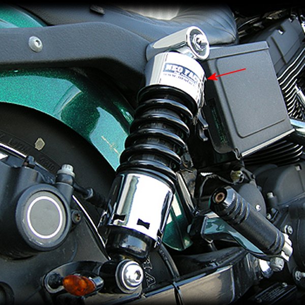 �ڥ᡼�����߸ˤ���� �ͥ��ե����ȥ꡼ 11����� ���硼�ȥ���å� 91ǯ�ʹ� ������ ����ȥ饹�ȥ��顼 006887 JPŹ