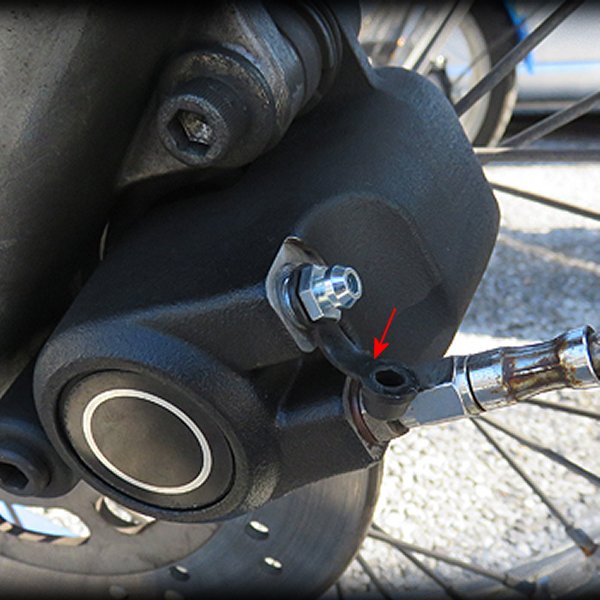 �ڥ᡼�����߸ˤ���� �ͥ��ե����ȥ꡼ 3/8 �֥졼�� �֥꡼��������å� 1����� 016474 JPŹ